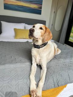 Reid's Cove Retreat - 2