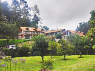 Finca la concordia: hotel frutos del bosque - Jicolapa - 3