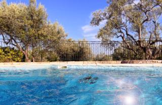 Charming Provence Villa La Passe Luxurious Pool Retreat Near Claviers - Claviers - 6