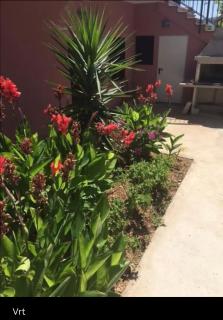 Apartments Nena with sea view - max 4 persons - 9