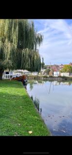 Studio St Florentin - Saint-Florentin - 7