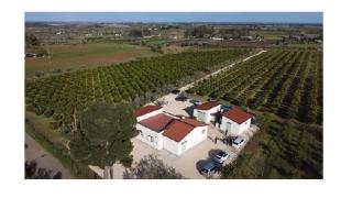 Azienda Agrituristica Spicchio di Sole - 9