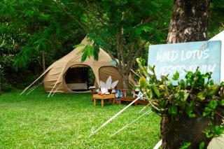 Wild Lotus Glamping - Georgetown - 0