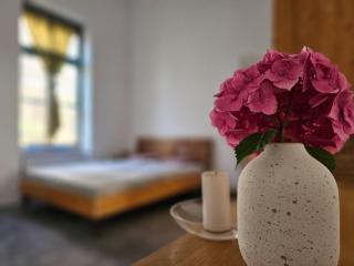 Urban Oasis Chic Central Apartment - Cluj-Napoca - 5
