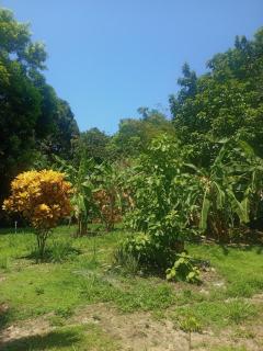 Tayrona Fercho's House - Santa Marta - 9
