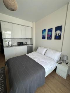 Solo Visit Apartments 1702 B - Batoemi - 9