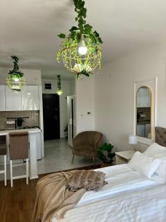 Apartman Vanila Lux Kragujevac - 6