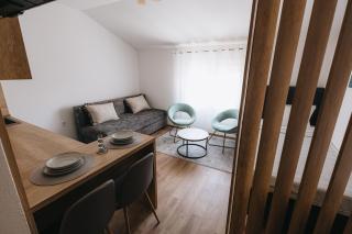 Apartments Podgorička Vila - Podgorica - 1