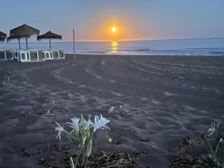 Mar y Arena - Sitio de Calahonda - 7