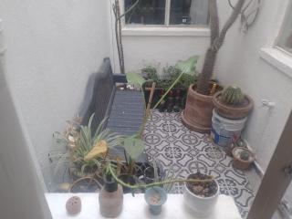 Habitación en departamento cerca del Zocalo - Città del Messico - 6