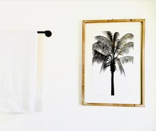 Miramar Studio - 3