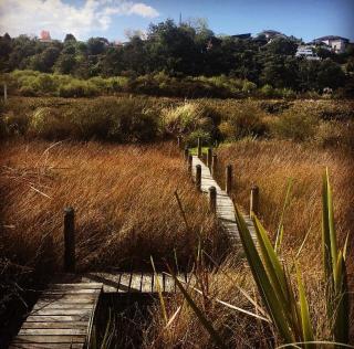 Uniqueness - Tauranga - 0