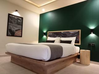 Fort View Hotel near Altit fort, Hunza - Hunza - 3