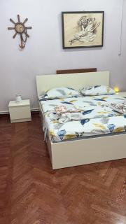 Yellow Fox - Erevan - 6