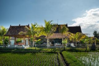 Villa Kelapa di Sawah by Travellink Bali - Ubud - 9