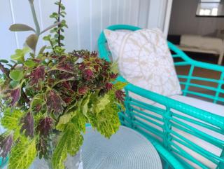 Spacious Townsville City Apartment - 1