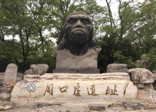 Time Traveller Boutique Hotel - Near Peking Man Site at Zhoukoudian, University of Chinese Academy of Social Sciences, Shidu Scenic Spots, Free ice cream, mineral water, coffee, snacks and laundry service, Free gymnastic, English communication well - Pechino - 7