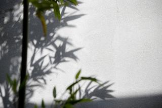 雲川居 Unsenkyou - Kyoto - 9