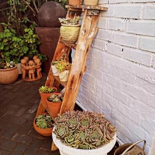 Lisa's - Malmesbury - 1