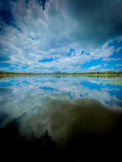 The Lotus Villa Sigiriya - 1