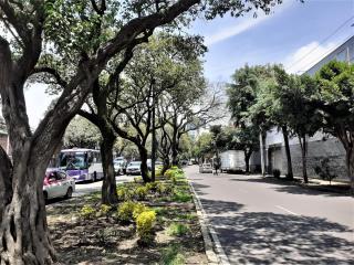 2 Recámaras en un lugar de La Mancha - Città del Messico - 5