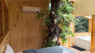 TreeHouse by The Woodpecker Inn Jibhi - 2