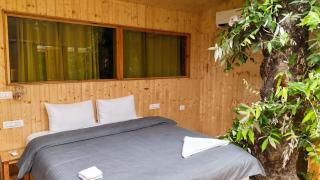 TreeHouse by The Woodpecker Inn Jibhi - 1