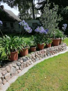 Ferienwohnung 1 Landhaus Thätner - Löbnitz - 4