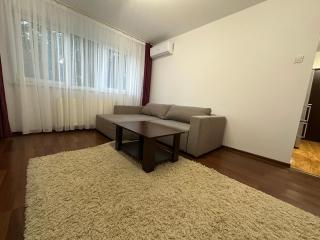 Zlata Cozzy Apartment - Suceava - 7
