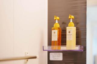 AOTO201, Newly renovated hotel, direct access to Ueno, Asakusa, Disneyland, Airport - Tokyo - 1