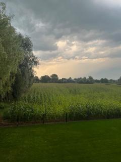 B&B de Plattelandshoeve - Rhenen - 4