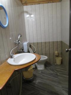 Hotel Neem Haveli - 9