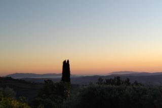 PODERE TORRICELLE 69B Pancole Gr, seaview infinity pool, jacuzzi, sauna, exclusive villa for 4 and independent extra suite for 2 in main villa with private ensuite bathroom, kitchenette, dining area for 6 with barbeque in exclusive private garden - Pancole - 1