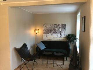 Behagelig to-roms leilighet på Tøyen - Oslo - 3