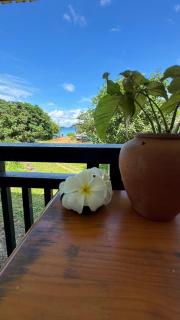 Picha house Kohyaonoi - 9