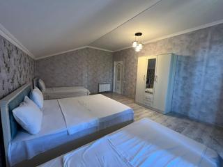 Qabala Vipvilla Vusal - Gabala - 8
