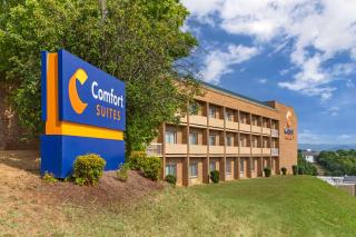 Comfort Suites Inn at Ridgewood Farm - 9