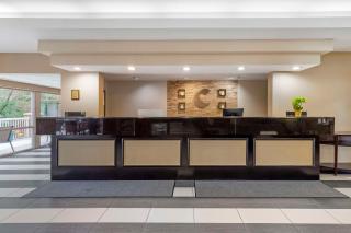Comfort Suites Inn at Ridgewood Farm - Salem - 6