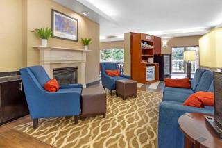Comfort Suites Inn at Ridgewood Farm - Salem - 5