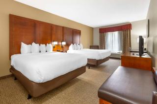 Comfort Suites Inn at Ridgewood Farm - Salem - 4