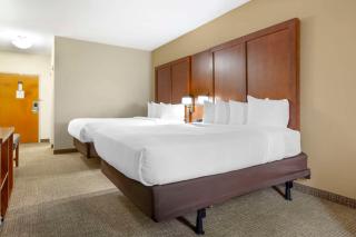 Comfort Suites Inn at Ridgewood Farm - Salem - 3