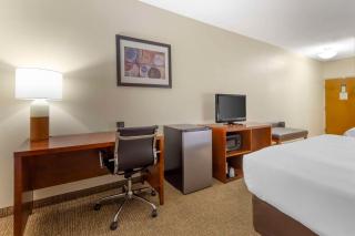 Comfort Suites Inn at Ridgewood Farm - Salem - 2