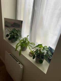 Appartement confortable Stade de France - 5