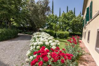 Villa Agriturismo Tenuta la Campana - Asciano - 5
