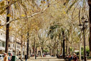 Plaza de la Magdalena I, Sevilla Centro Histórico - Sevilla - 4