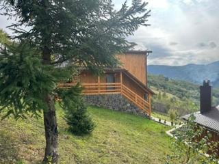 Садиба Трембіта з сауною та чаном - 0