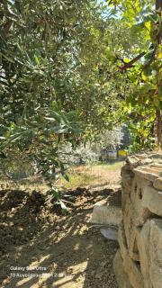 Rama Guest House - Berat - 1