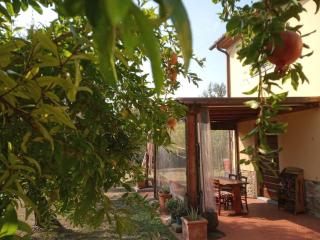 Appartamento Oliver - Colle di Buggiano - 5