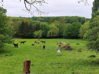 Au coeur de la nature et des chevaux avec jacuzzi Sauna - - 4