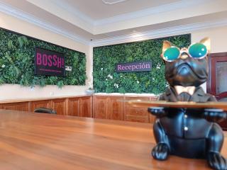Hotel Bossh Alicia - Albacete - 4